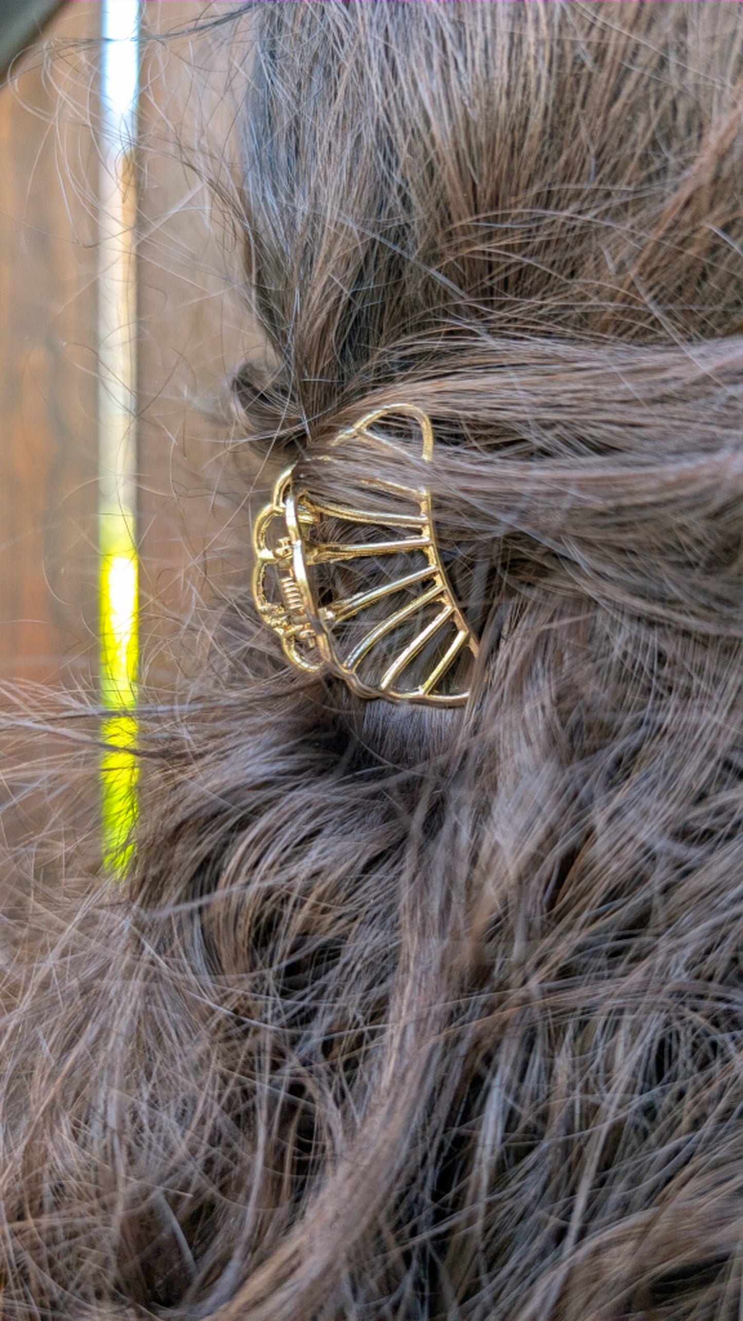 Pince à cheveux Coquillage