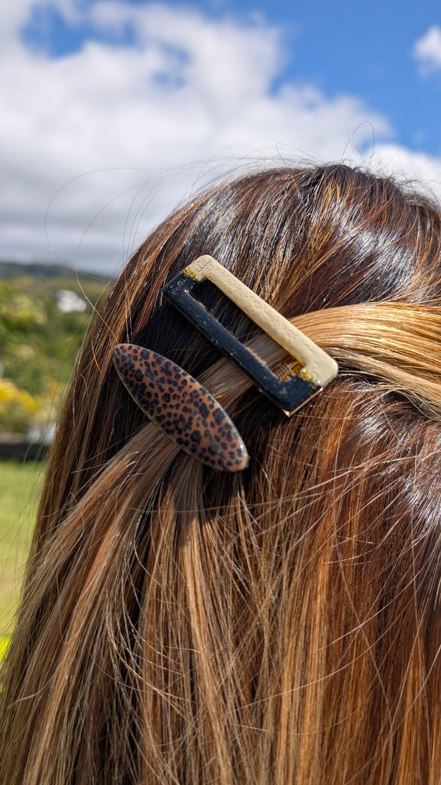 Barrette bigoût noir / beige