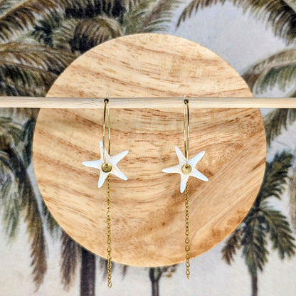 Estrella de Mar (2 coloris)