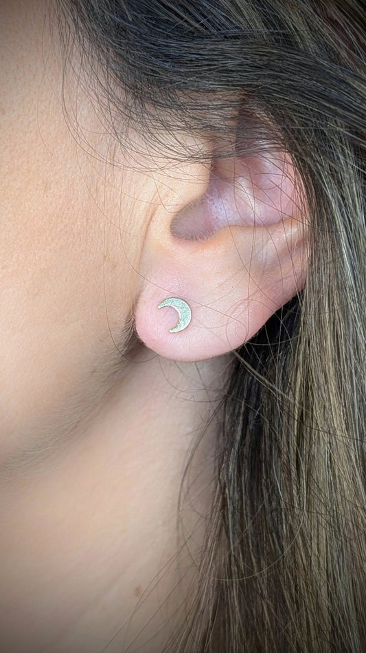 Puces d'oreilles Lune