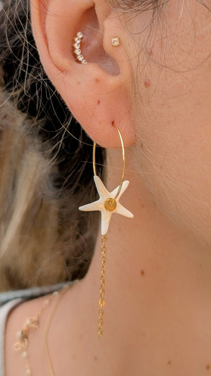 Estrella de Mar (2 coloris)