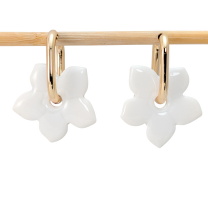 Gardenia unies